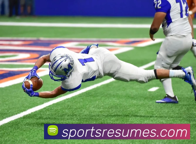 体育下注平台生态图